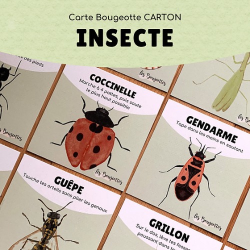 Les Bougeottes - Cartes Les insectes