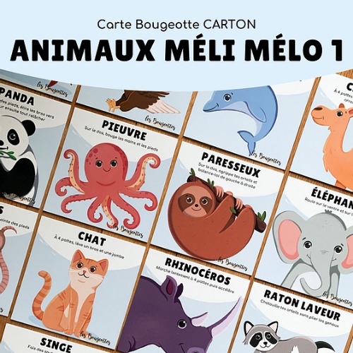 Les Bougeottes - Cartes animaux méli mélo 1
